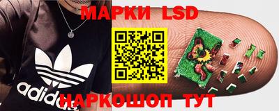 стафф Татарск