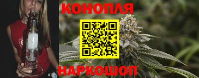 шишки Тара