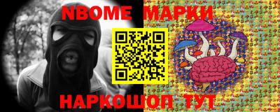 шишки Тара