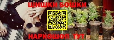 шишки Тара