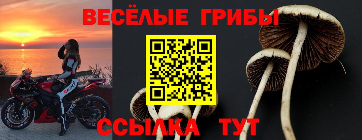 Галлюциногенные грибы GOLDEN TEACHER  Галлюциногенные грибы ЛСД  где купить наркоту  Норильск  Вход с VPN 